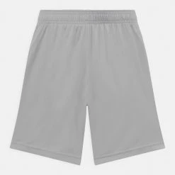 Under Armour PROTOTYPE LOGO - Krótkie Spodenki Sportowe - Grey