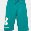 Under Armour RIVAL BIG LOGO - Krótkie Spodenki Sportowe - Coastal Teal